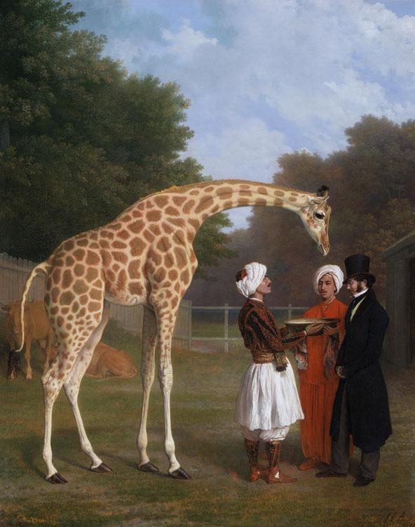 Jacques-Laurent Agasse The Nuian Giraffe (mk25) Sweden oil painting art
